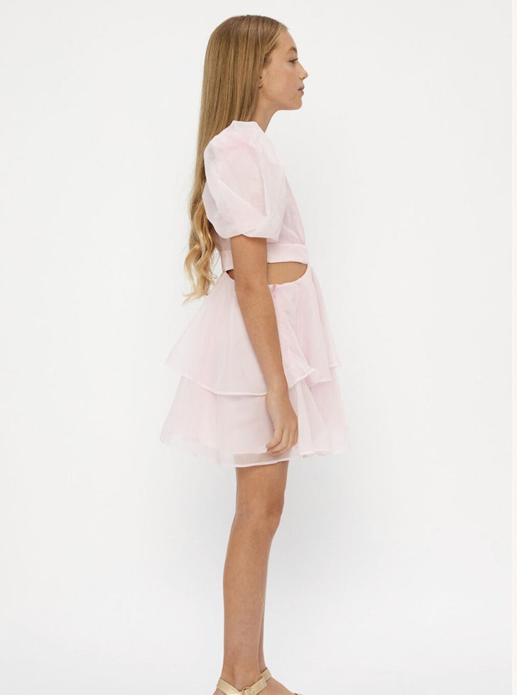 Maia Pink Dress