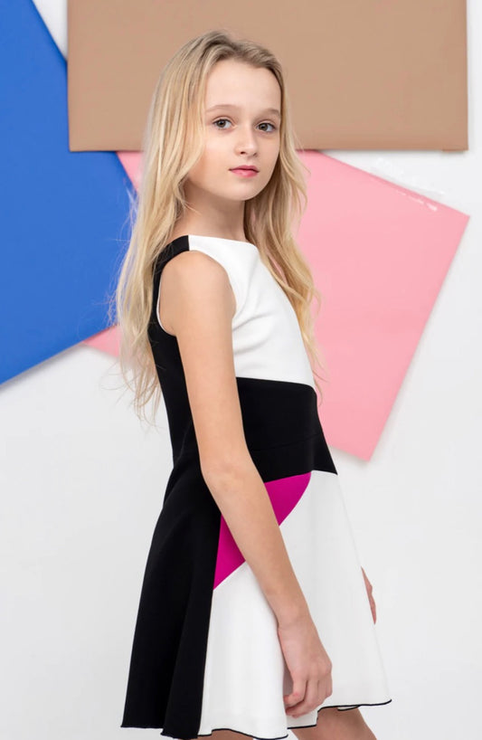 Colorblock Dress