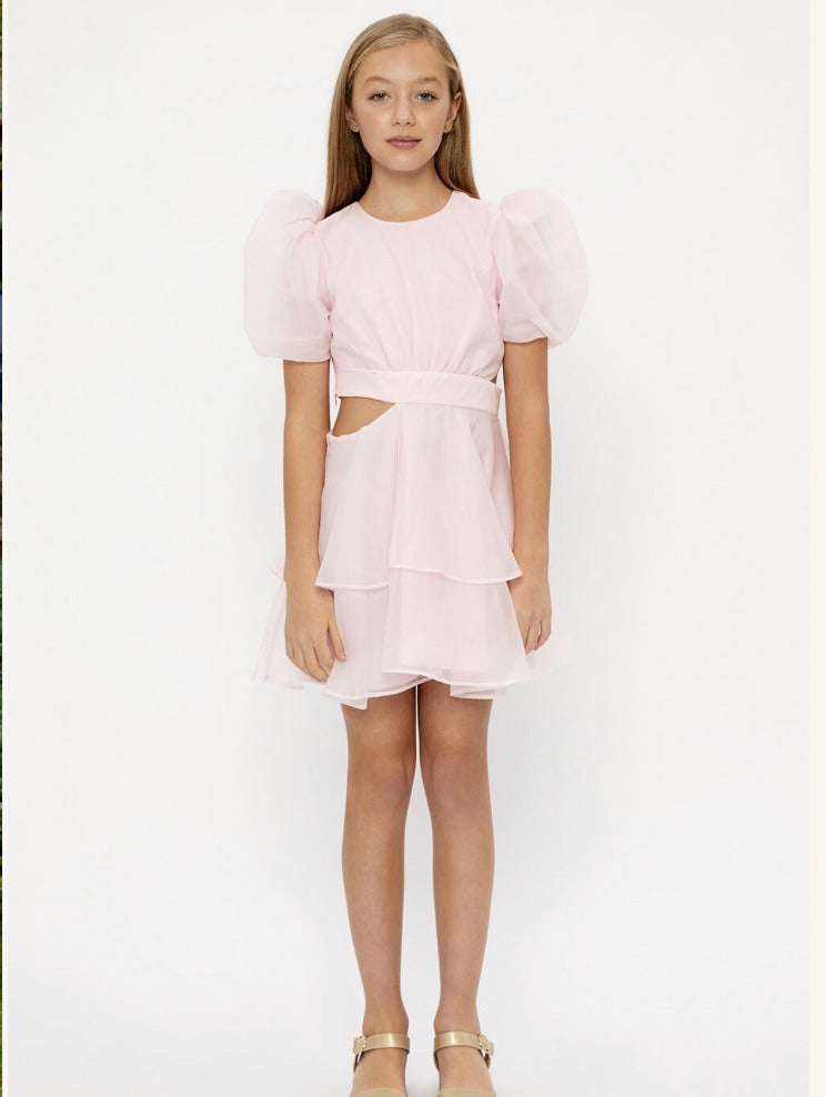 Maia Pink Dress