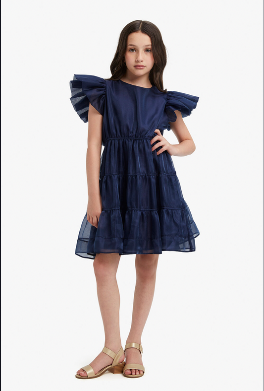 Oshin Dress