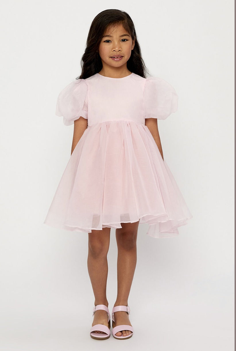 Juliet pink Dress