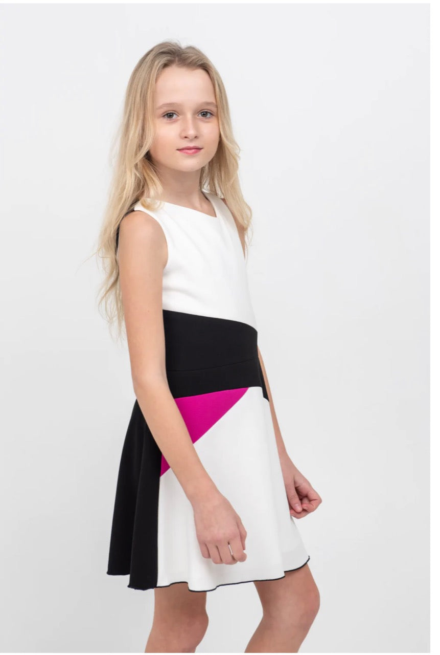 Colorblock Dress